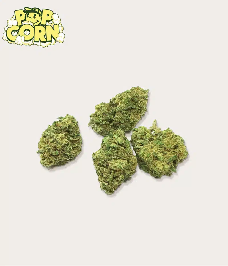 Jumbo Green Sour 25G - Imagen 2